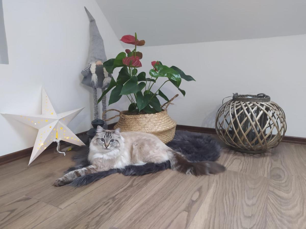 Apartament Muzyczny 옐레니아구라 외부 사진